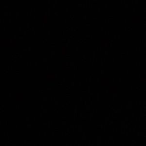 Meet your Posher, Vincent